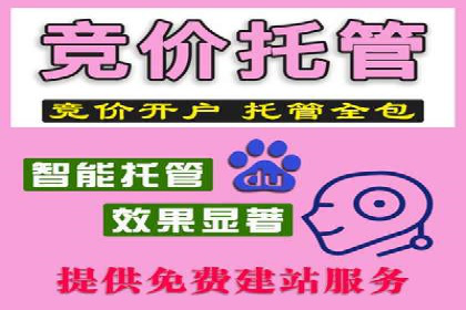 竞价广告案例分析：行业领军企业经验分享